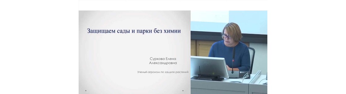 Елена Суркова — выступления в Зарядье (октябрь 2019 г) часть 1