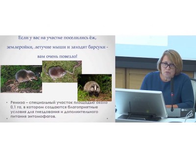 Елена Суркова — выступления в Зарядье (октябрь 2019 г) часть 5